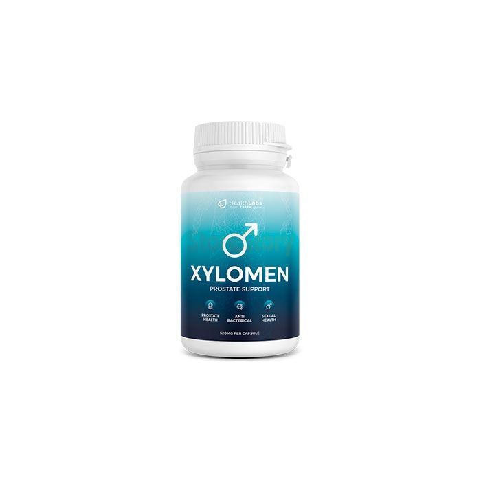 Xylomen - capsules for prostatitis